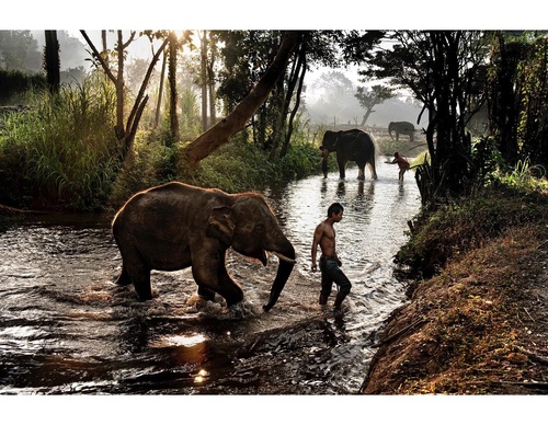 Gallery Of Photography By Steve McCurry - USA