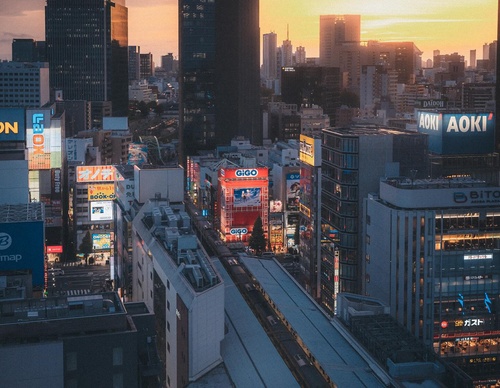 Gallery Of Photography By Junya Watanabe - Japan