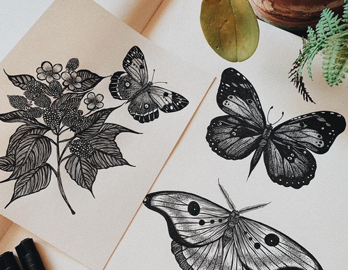 Galería de dibujos de The Little Wilderness - Inglaterra