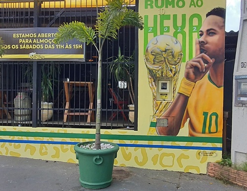 Gallery Of Street Art By Diego Forms - Brazil