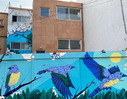 Gallery Of Street Art By Elchicho - Mexico