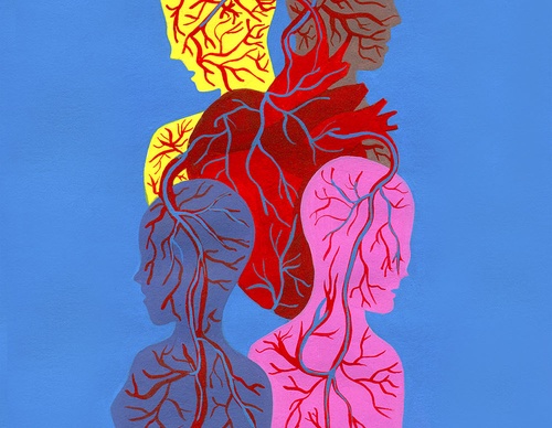 human rights