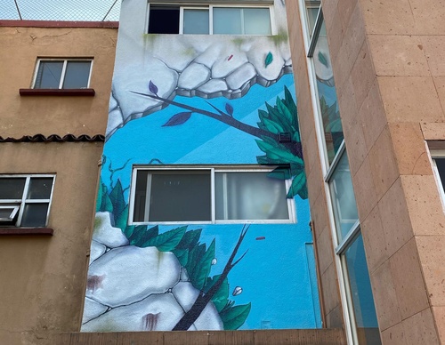 Gallery Of Street Art By Elchicho - Mexico