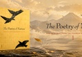 The Poetry of Nature