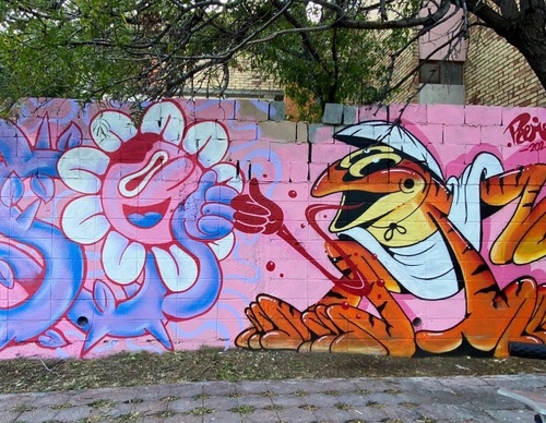 Gallery Of Street Art By Peemouh - Mexico