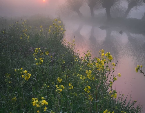 Galería de fotografía de Gijs de Reijke - Holanda