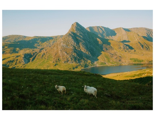 Gallery Of Photography By Daniel Casson - England