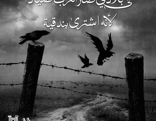 haetham diwany