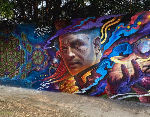 Gallery Of Street Art By Zhot Rnk  - Mexico