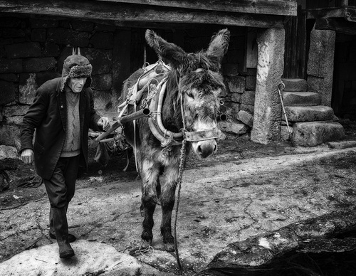 Gallery Of Photography By João Madureira - Portugal