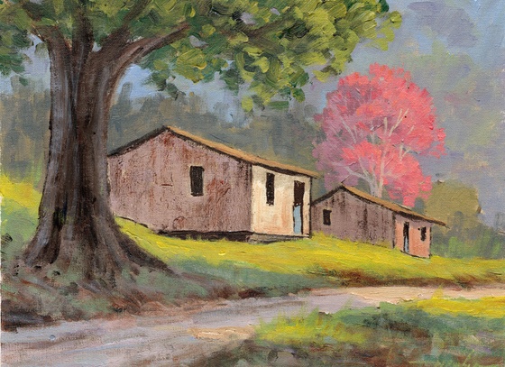 mario sergio freitas