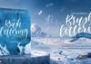 O Guia Definitivo de Lettering com Pincel