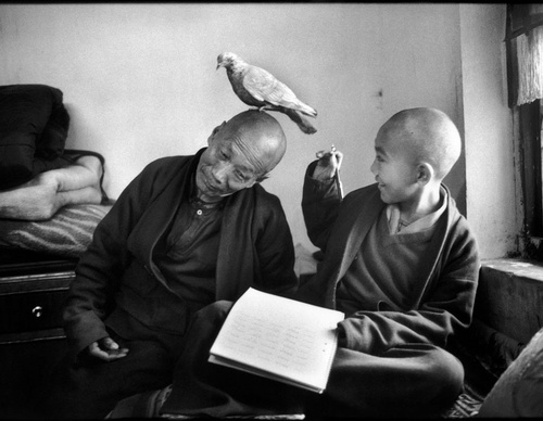 martine franck
