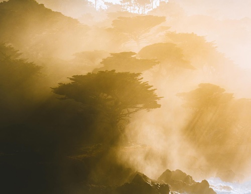 Galeria de fotografias de Nathaniel Wise - EUA