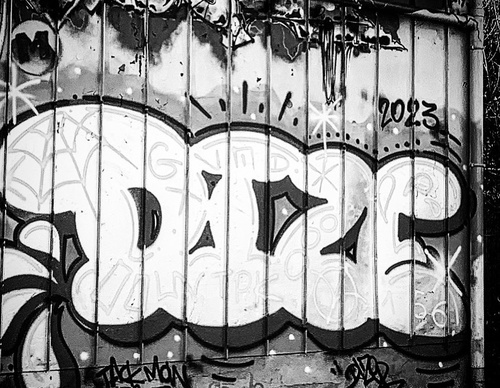 Gallery Of Street Art By Vincent Veyret - Peru