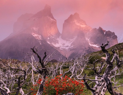 Gallery Of Photography By Timothy Dhalleine - Chile