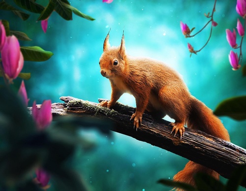 Gallery Of Illustration By Kevin Carden - USA
