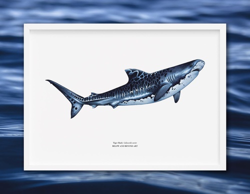 Gallery Of Realistic Painting By Janavi Kramer - British
