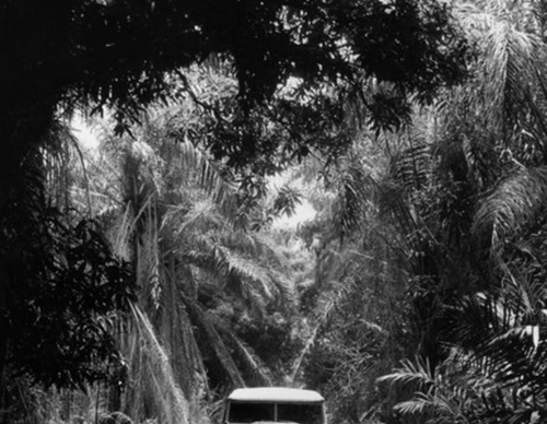 raymond depardon