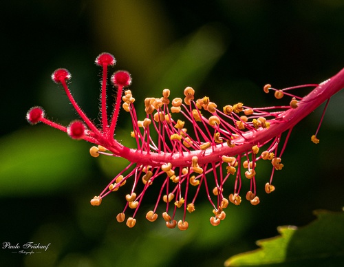 Gallery Of Photography By Norberto Kreutzer Fruhauf - Brazil