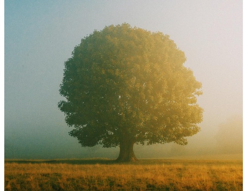 Gallery Of Photography By Daniel Casson - United Kingdom