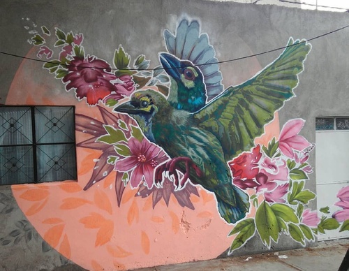 Galería de arte callejero de Nashi Bime - México