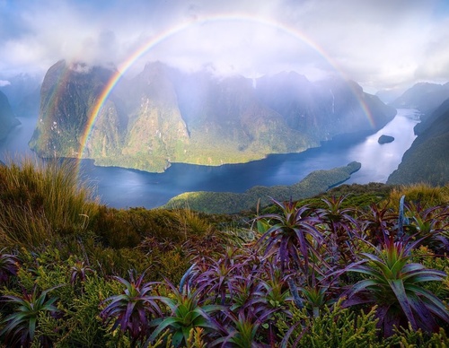 Galeria de fotografias de William Patino - Nova Zelândia