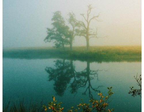 Gallery Of Photography By Daniel Casson - United Kingdom