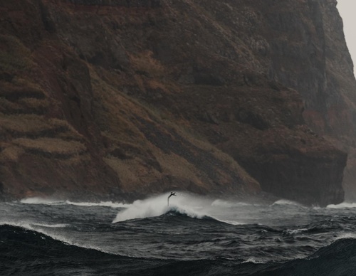 Galería de fotografías de Rob Ash - Inglaterra