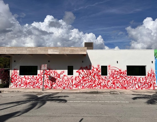 Gallery Of Street Art By Rafael Sliks - Brazil