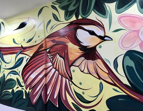 Gallery Of Street Art By Fio Silva - Argentina