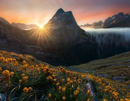 Galeria de fotografias de William Patino - Nova Zelândia