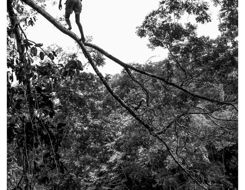 Gallery Of Photography By João Roberto Ripper - Brazil