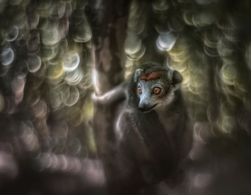 Gallery Of Photography By Marco Gaiotti - Brazil