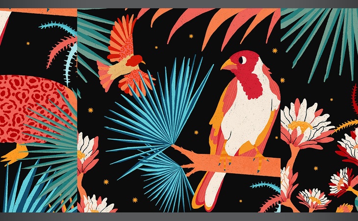 Gallery of Illustration by Bárbara Dantas – Brazil