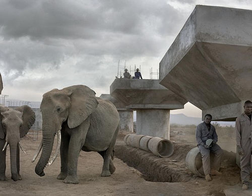 nick brandt