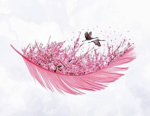Galería De Ilustración De Luisa Azevedo - Portugal