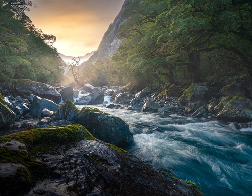 Galeria de fotografias de William Patino - Nova Zelândia