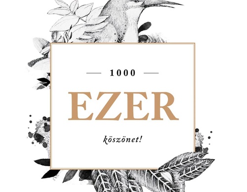 Gallery Of Illustration by Dóra Kisteleki - Hungary