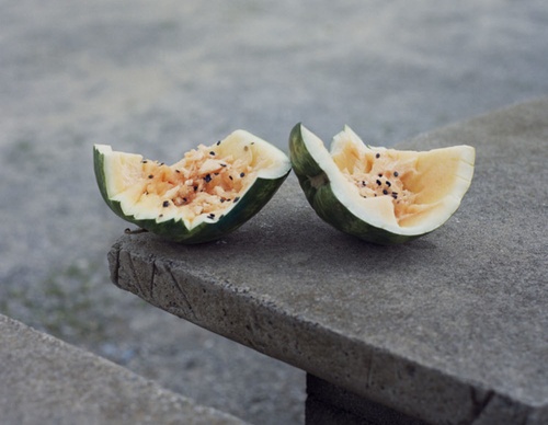 gregory halpern