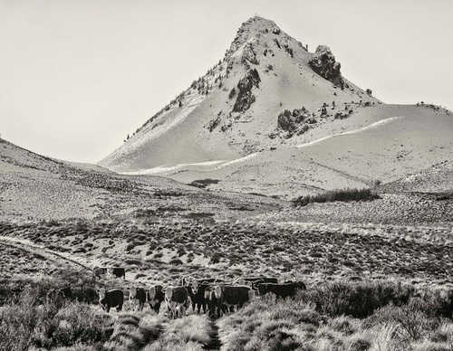 Galería de fotografía de Patricio Rodríguez - Argentina