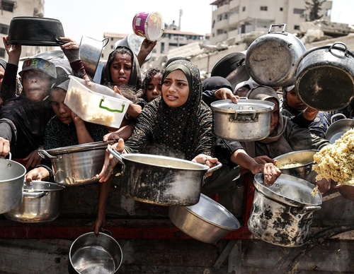 ali jadallah gaza