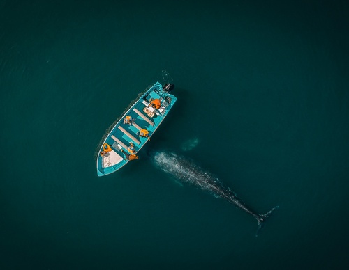 Galeria de Fotografia de Joseph Ruiz Cheires - México