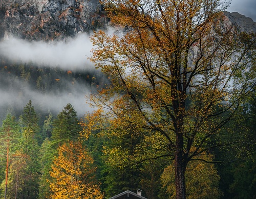 Galería de fotografía de Robert DIcon - Alemania