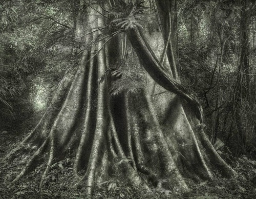 Gallery Of Photography By Cassio Vasconcellos - Brazil