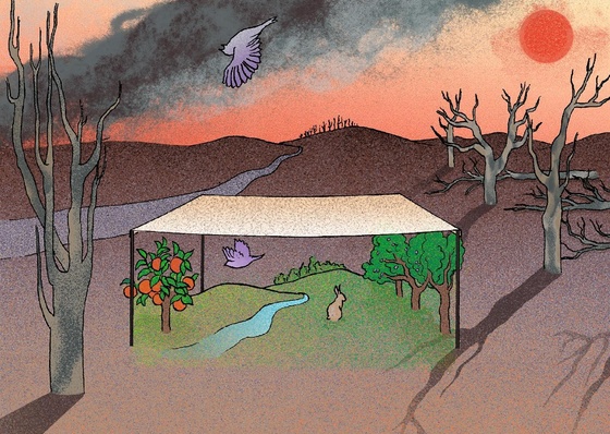 Gallery Of Illustration By Elodie Bouedec - France
