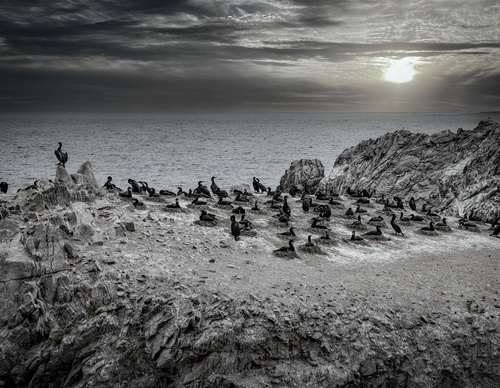 Galería De Fotografía De Guillermo Bernaldo - Argentina