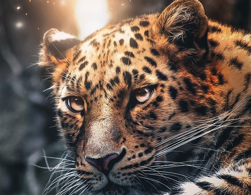 Galería de fotografías de Evgeny Gammer - Rusia