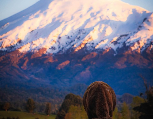 Gallery Of Photography By Sebastián Ojeda S - Chile