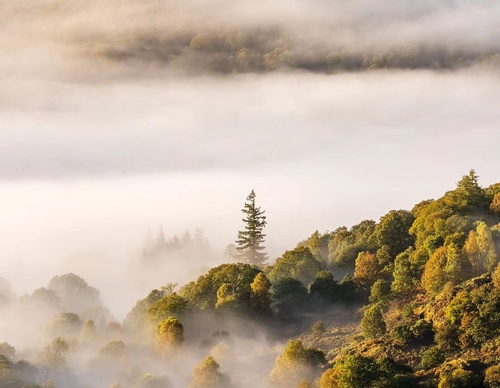 Gallery Of Photography By Mads Peter - Danish